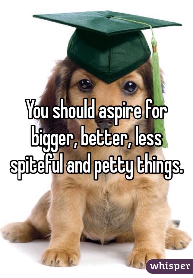 You should aspire for bigger, better, less spiteful and petty things. 