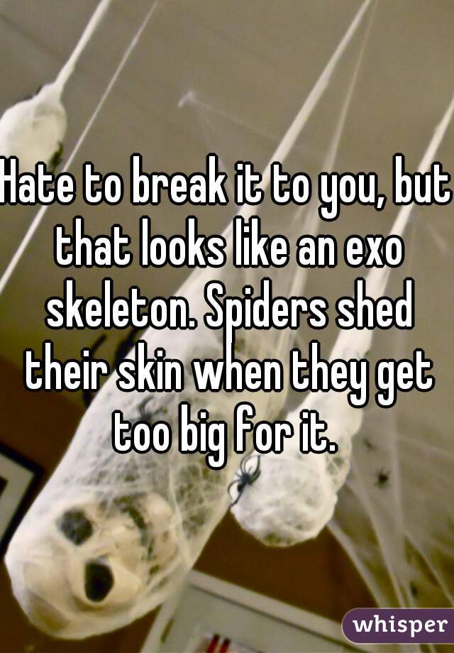Hate to break it to you, but that looks like an exo skeleton. Spiders shed their skin when they get too big for it. 