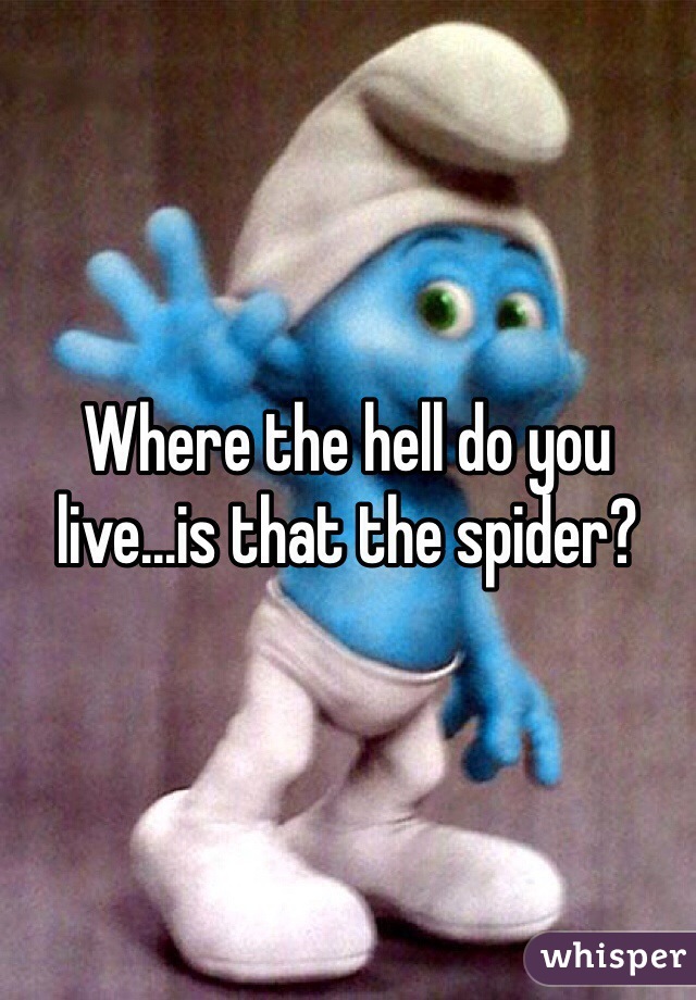 Where the hell do you live...is that the spider? 