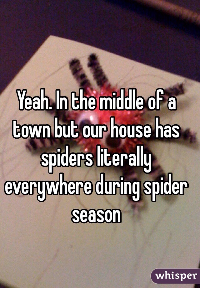 Yeah. In the middle of a town but our house has spiders literally everywhere during spider season
