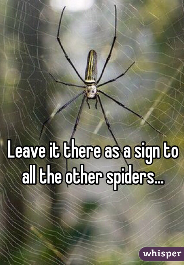 Leave it there as a sign to all the other spiders...
