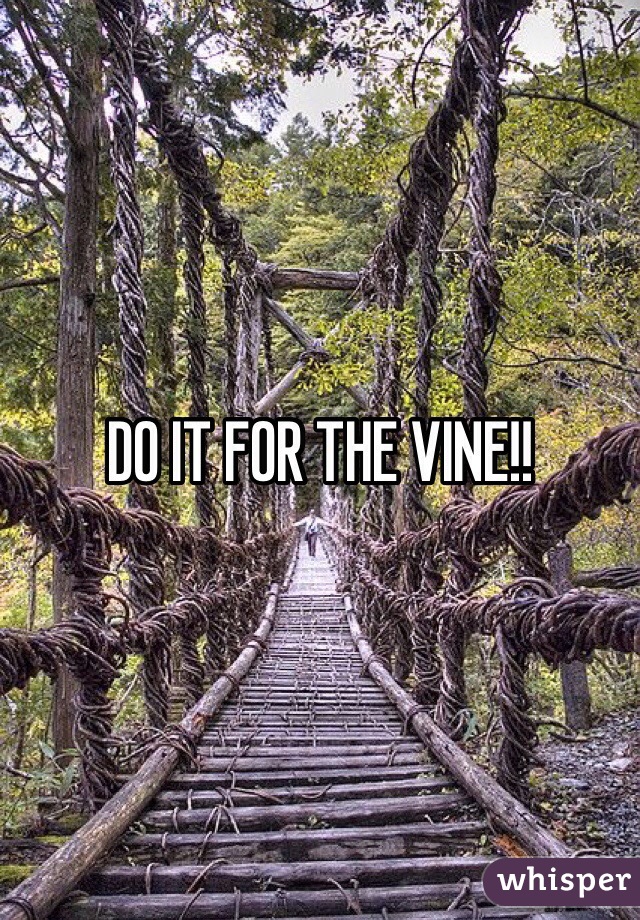 DO IT FOR THE VINE!!