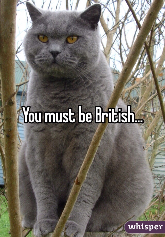 You must be British...