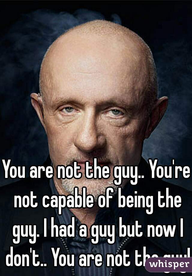 You are not the guy.. You're not capable of being the guy. I had a guy but now I don't.. You are not the guy!