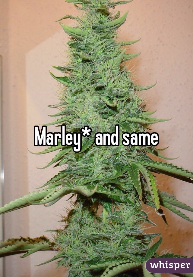 Marley* and same