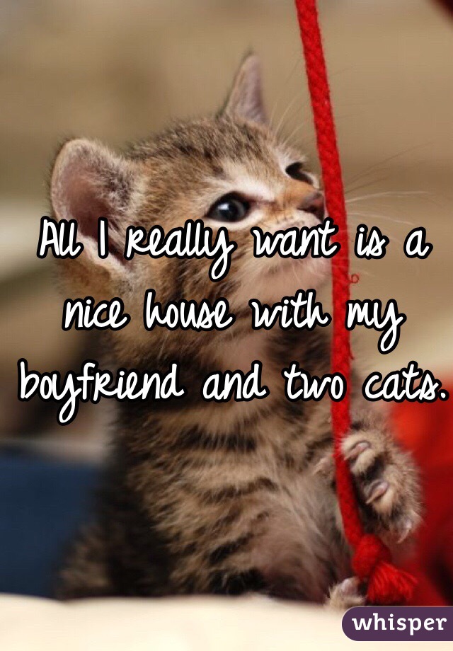 All I really want is a nice house with my boyfriend and two cats. 