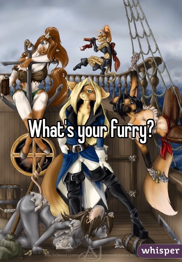 What's your furry?