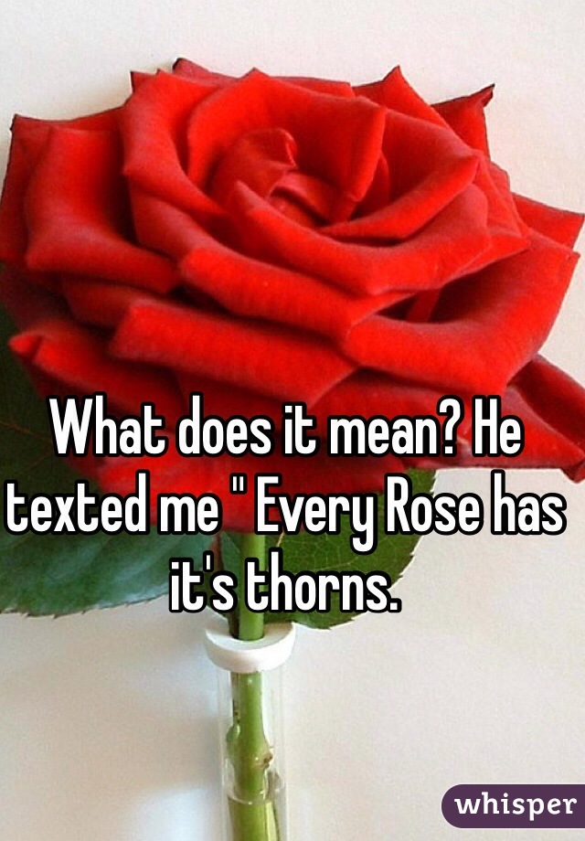 What does it mean? He texted me " Every Rose has it's thorns.