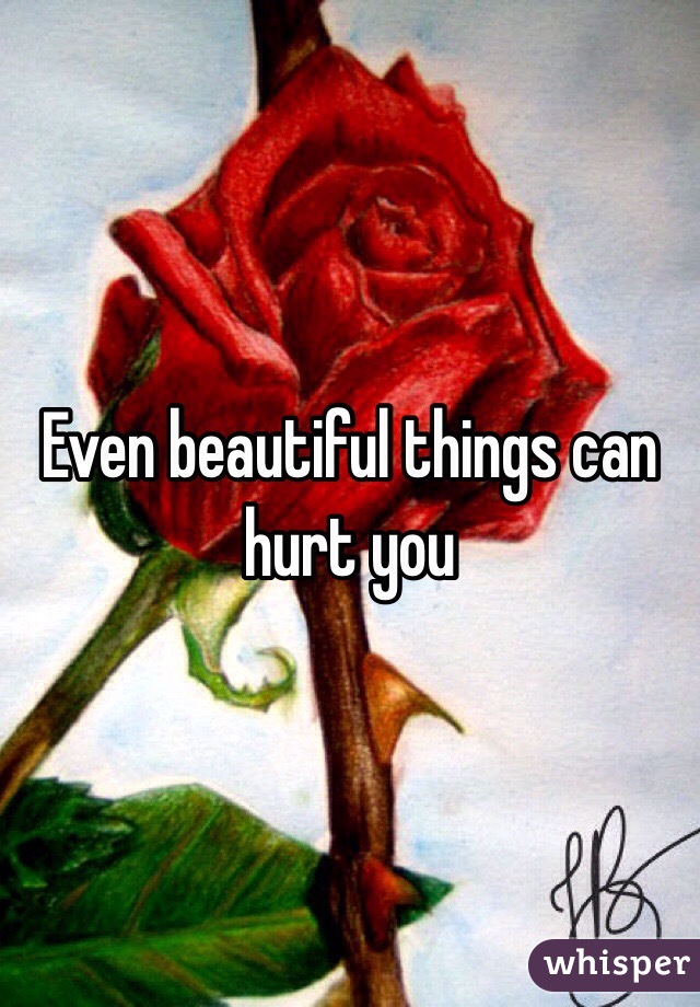 Even beautiful things can hurt you 