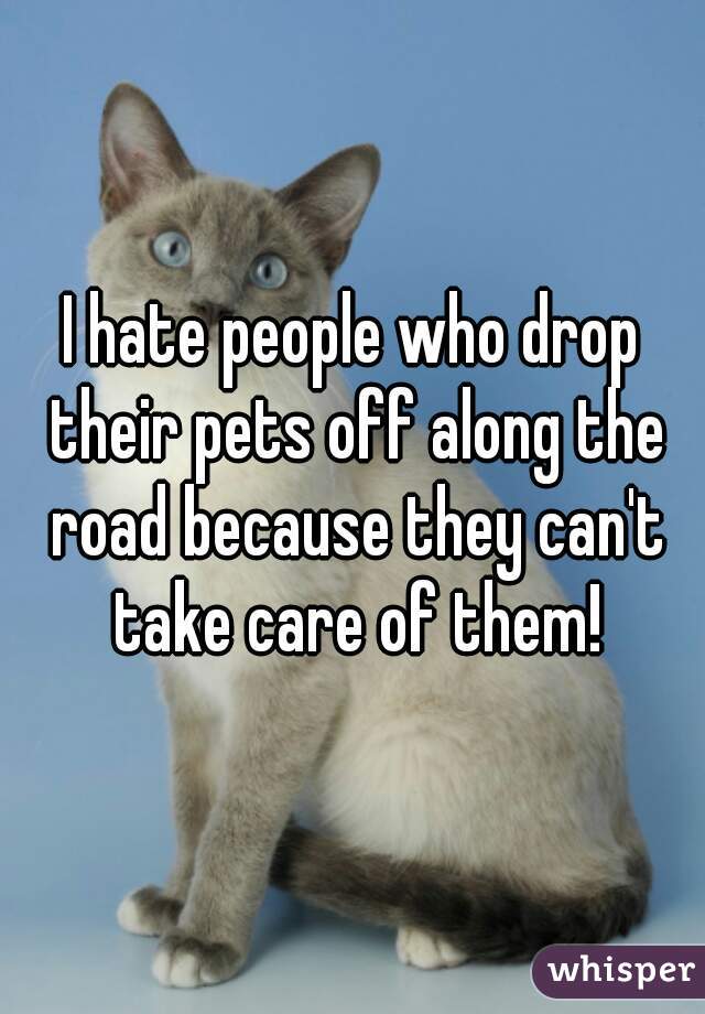 I hate people who drop their pets off along the road because they can't take care of them!
