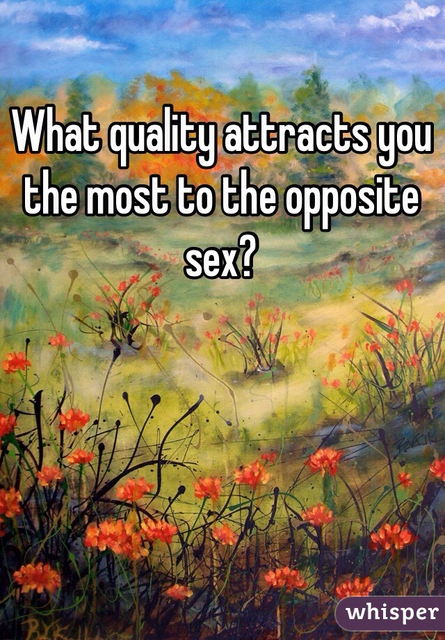 What quality attracts you the most to the opposite sex?