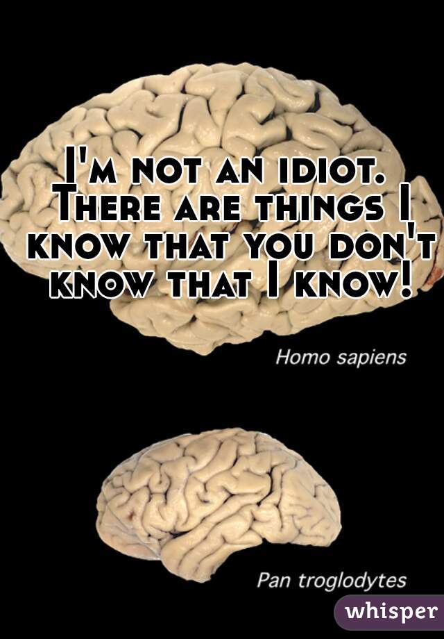 I'm not an idiot. There are things I know that you don't know that I know!