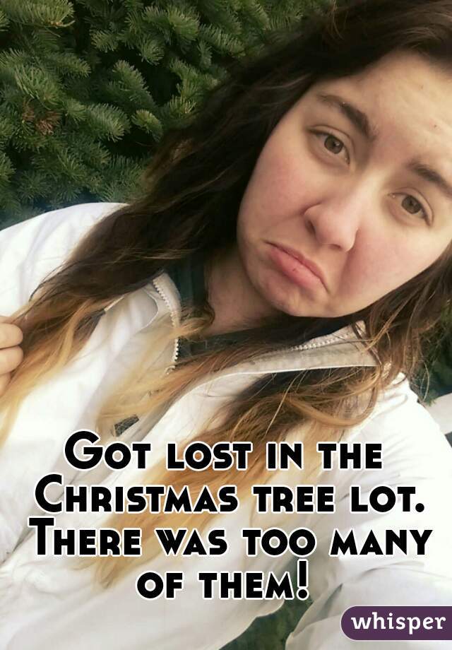 Got lost in the Christmas tree lot. There was too many of them! 