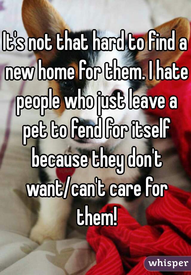 It's not that hard to find a new home for them. I hate people who just leave a pet to fend for itself because they don't want/can't care for them!
