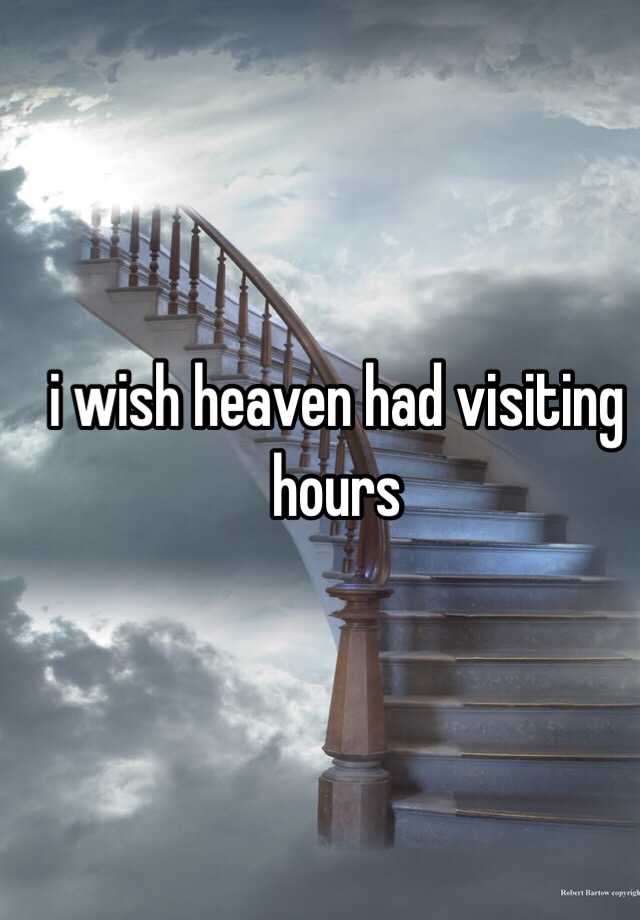 i-wish-heaven-had-visiting-hours