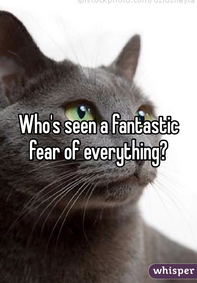 Who's seen a fantastic fear of everything?