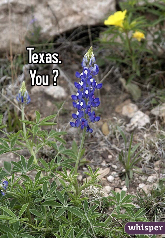 Texas.
You ?
