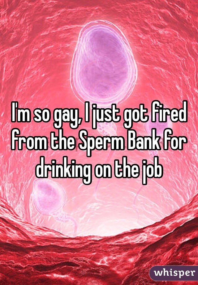 I'm so gay, I just got fired from the Sperm Bank for drinking on the job