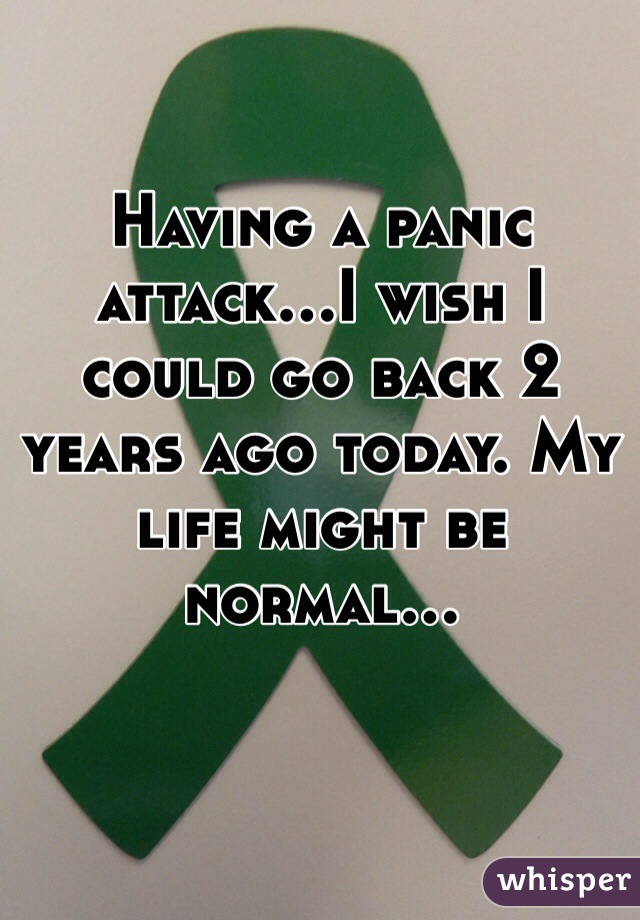 Having a panic attack...I wish I could go back 2 years ago today. My life might be normal...