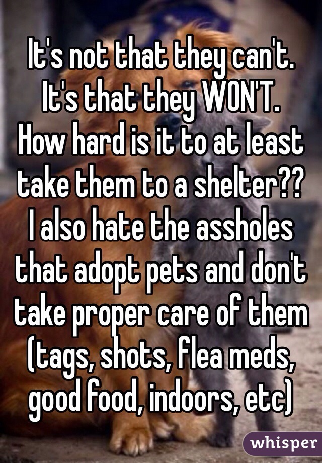 It's not that they can't. 
It's that they WON'T. 
How hard is it to at least take them to a shelter??
I also hate the assholes that adopt pets and don't take proper care of them (tags, shots, flea meds, good food, indoors, etc)