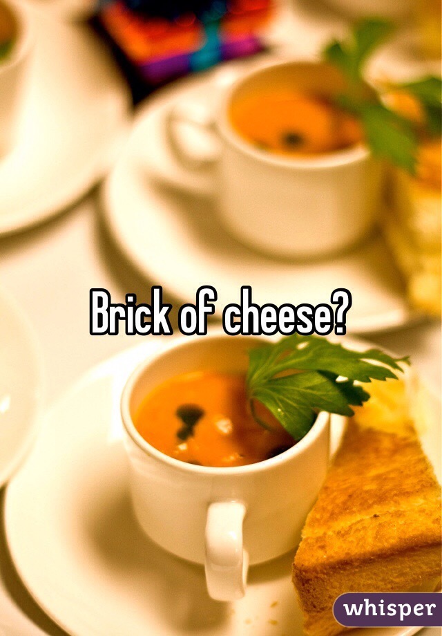 Brick of cheese?