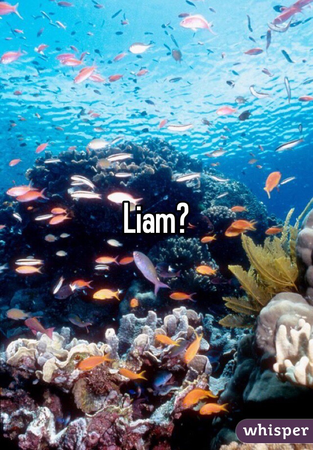Liam?