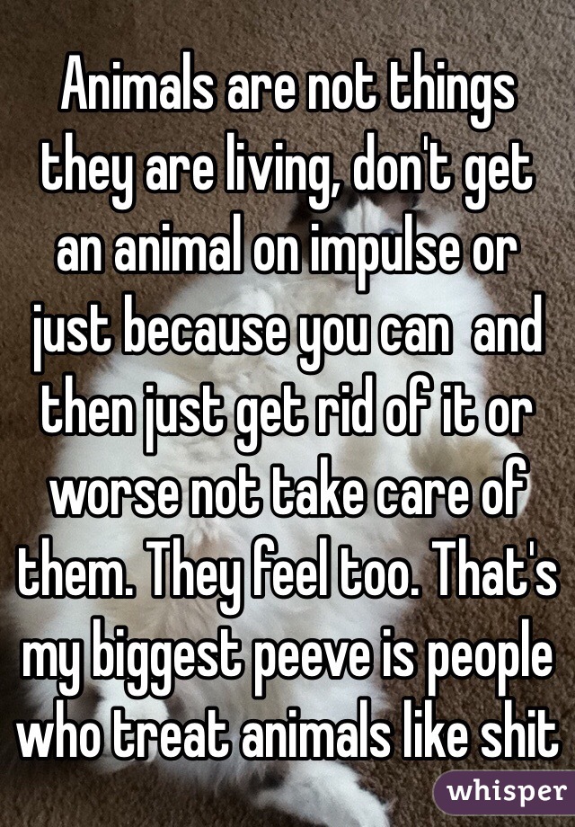 Animals are not things they are living, don't get an animal on impulse or just because you can  and then just get rid of it or worse not take care of them. They feel too. That's my biggest peeve is people who treat animals like shit