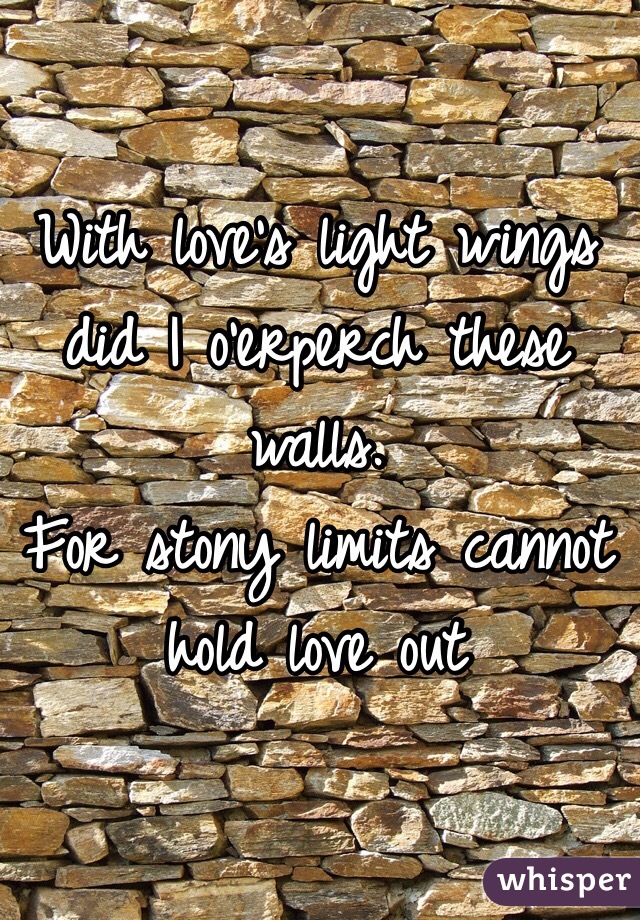 With love's light wings did I o'erperch these walls. 
For stony limits cannot hold love out