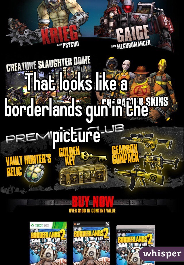 That looks like a borderlands gun in the picture 