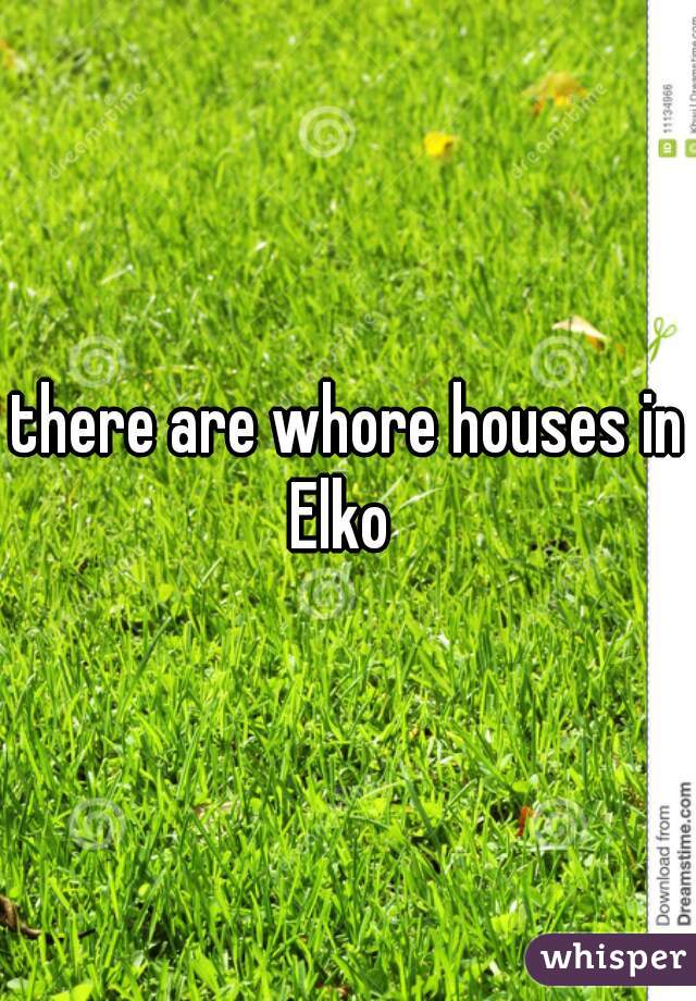 there are whore houses in Elko  