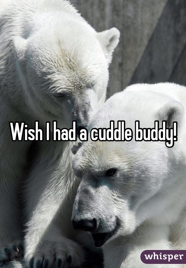 Wish I had a cuddle buddy! 