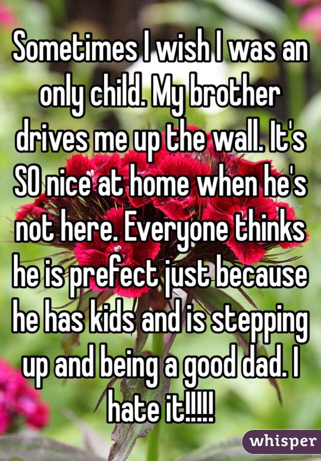 Sometimes I wish I was an only child. My brother drives me up the wall. It's SO nice at home when he's not here. Everyone thinks he is prefect just because he has kids and is stepping up and being a good dad. I hate it!!!!!
