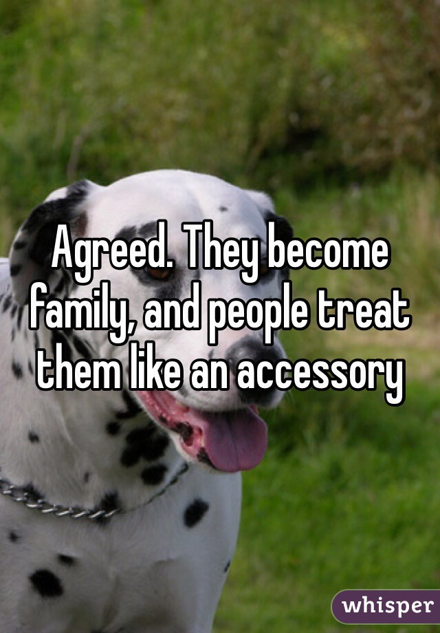 Agreed. They become family, and people treat them like an accessory 