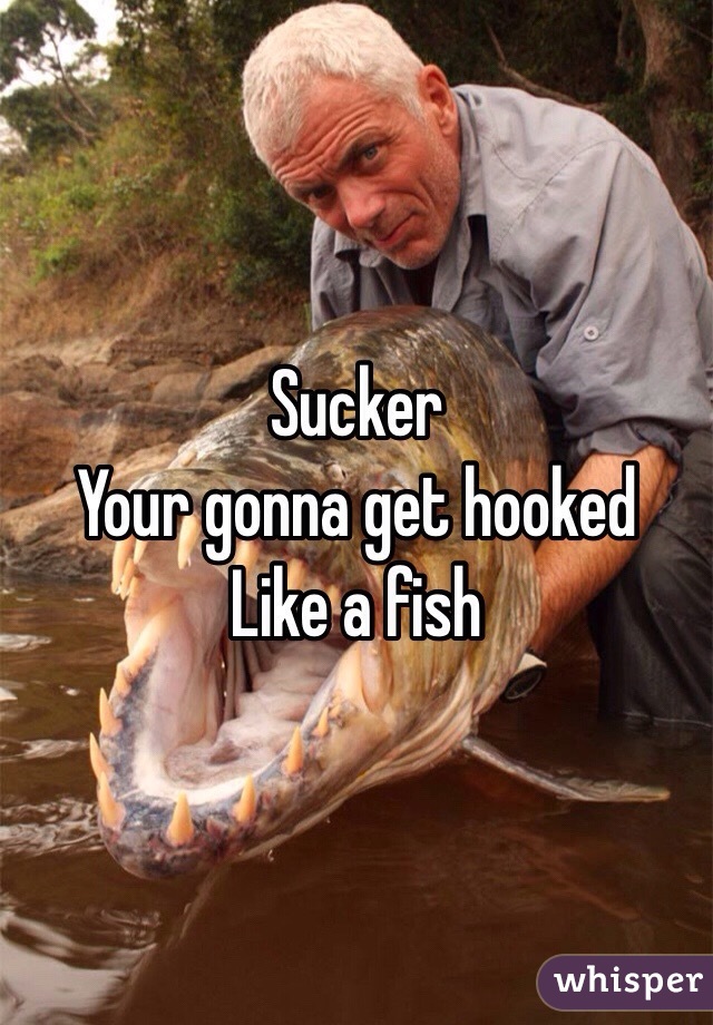 Sucker
Your gonna get hooked
Like a fish
