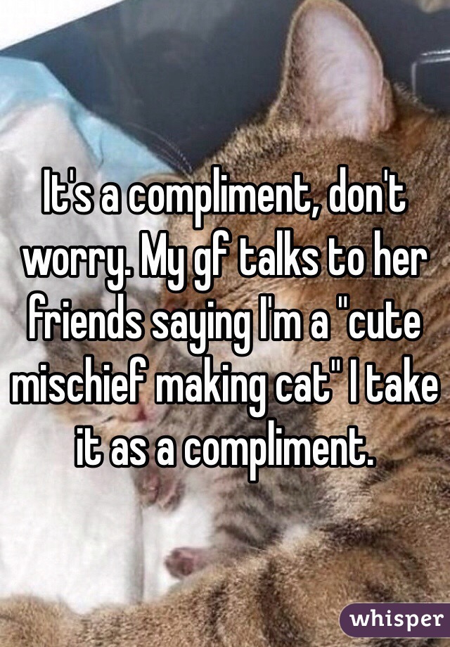 It's a compliment, don't worry. My gf talks to her friends saying I'm a "cute mischief making cat" I take it as a compliment.