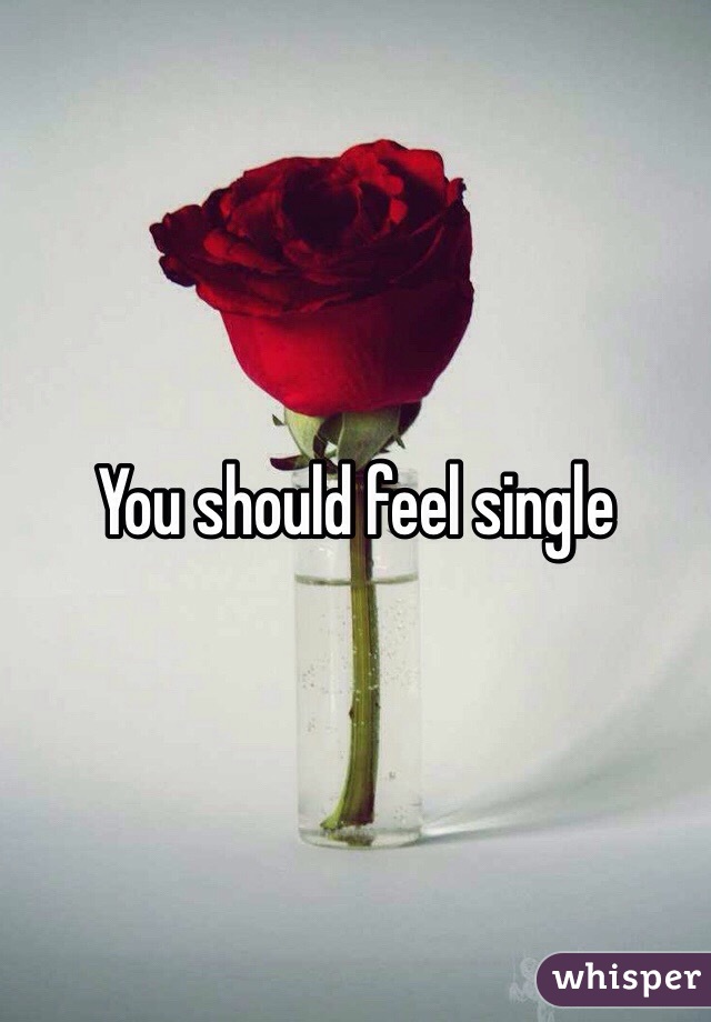 You should feel single