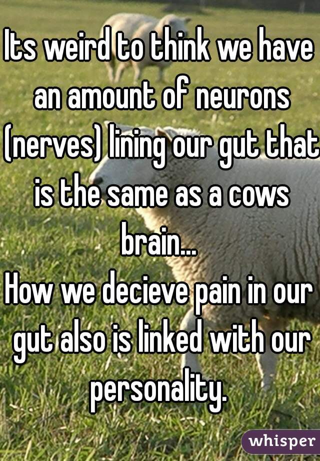Its weird to think we have an amount of neurons (nerves) lining our gut that is the same as a cows brain... 
How we decieve pain in our gut also is linked with our personality. 
