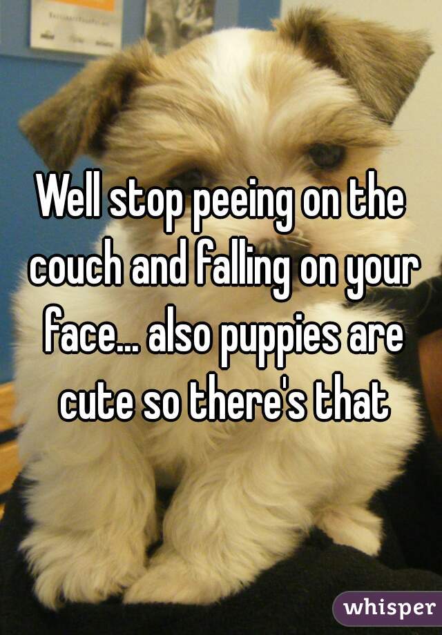 Well stop peeing on the couch and falling on your face... also puppies are cute so there's that