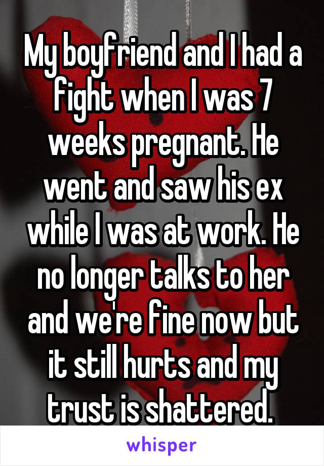 My boyfriend and I had a fight when I was 7 weeks pregnant. He went and saw his ex while I was at work. He no longer talks to her and we're fine now but it still hurts and my trust is shattered. 