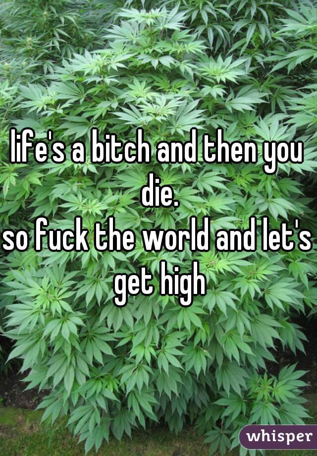 life's a bitch and then you die.
so fuck the world and let's get high