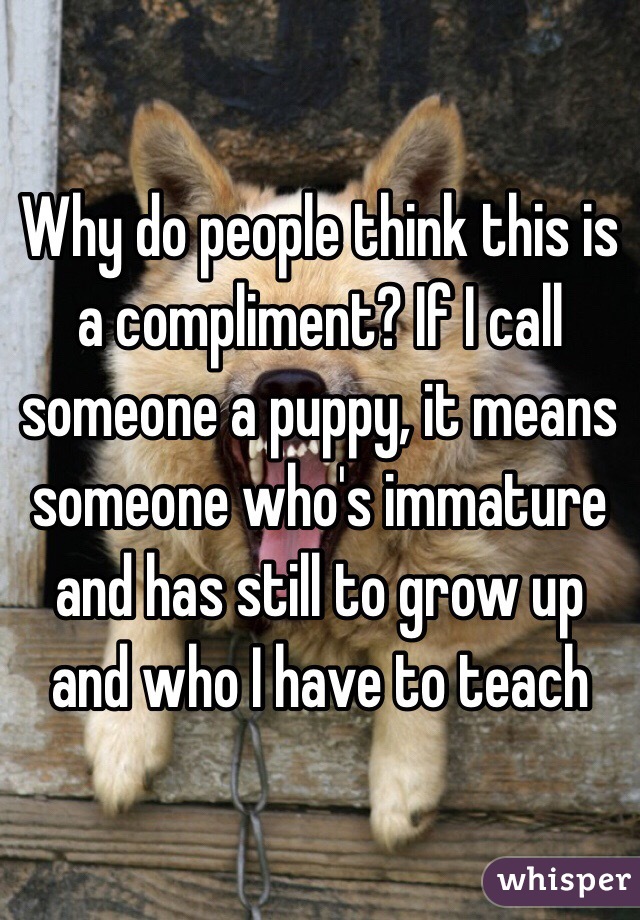 Why do people think this is a compliment? If I call someone a puppy, it means someone who's immature and has still to grow up and who I have to teach