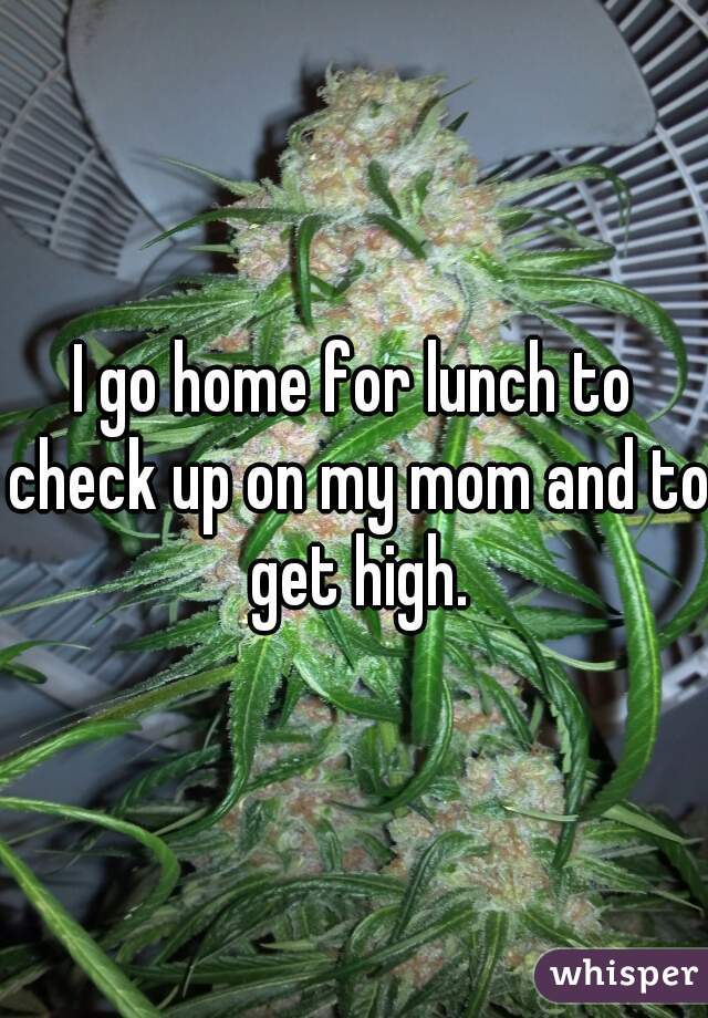 I go home for lunch to check up on my mom and to get high.