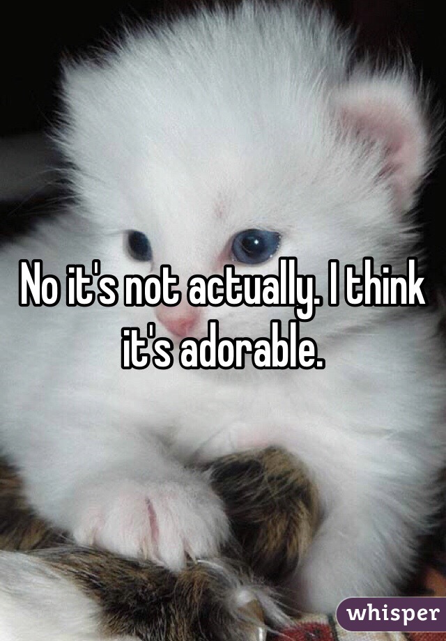 No it's not actually. I think it's adorable. 