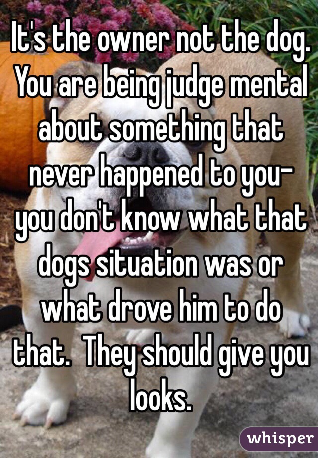 It's the owner not the dog. You are being judge mental about something that never happened to you- you don't know what that dogs situation was or what drove him to do that.  They should give you looks. 