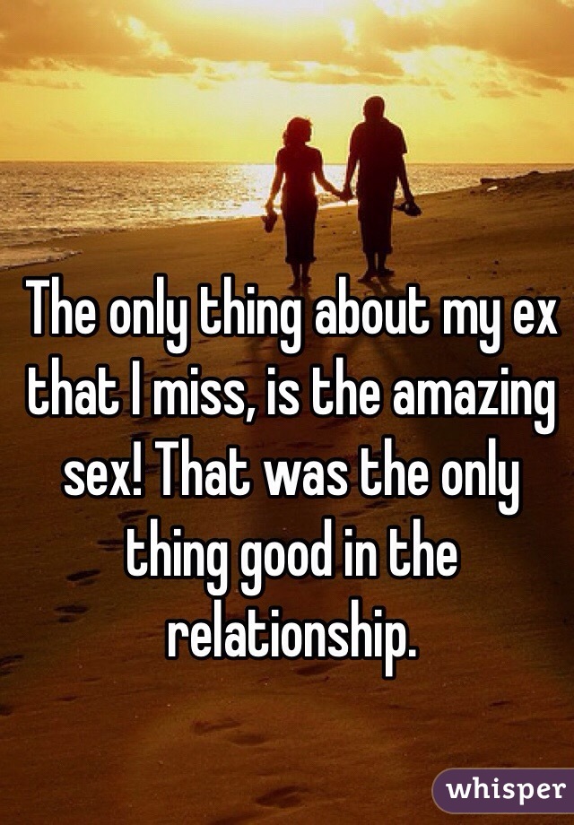 The only thing about my ex that I miss, is the amazing sex! That was the only thing good in the relationship. 
