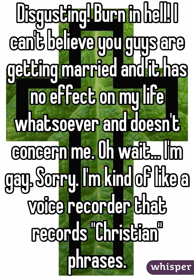 Disgusting! Burn in hell! I can't believe you guys are getting married and it has no effect on my life whatsoever and doesn't concern me. Oh wait... I'm gay. Sorry. I'm kind of like a voice recorder that records "Christian" phrases.