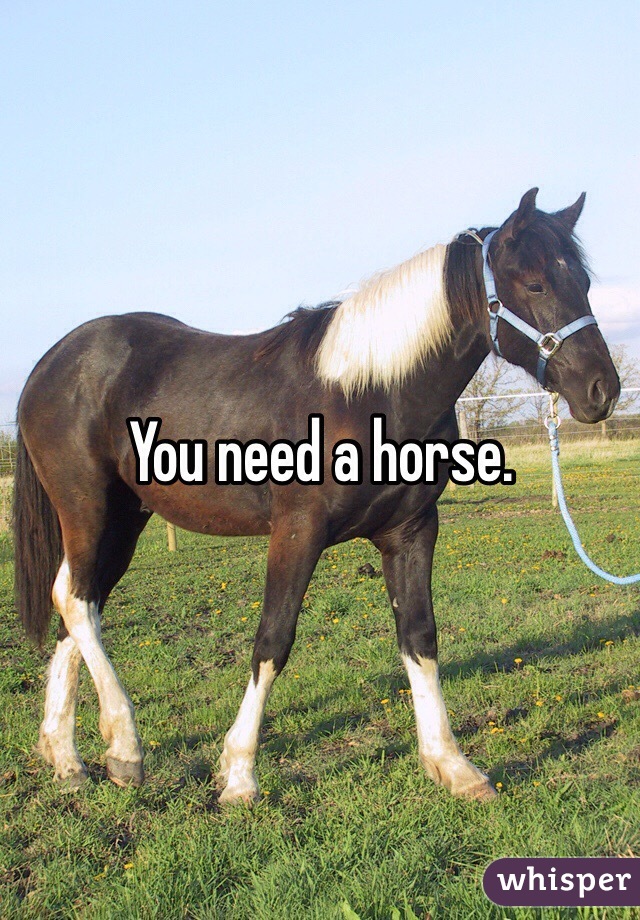 You need a horse.