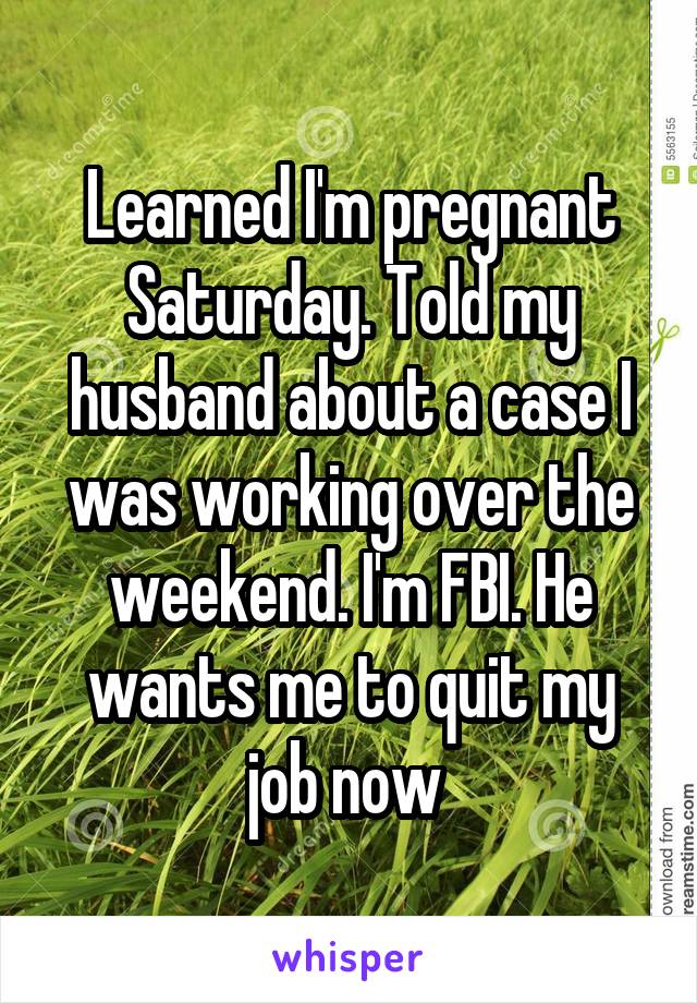 Learned I'm pregnant Saturday. Told my husband about a case I was working over the weekend. I'm FBI. He wants me to quit my job now 