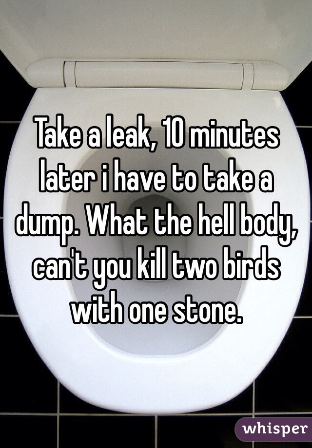 Take a leak, 10 minutes later i have to take a dump. What the hell body, can't you kill two birds with one stone.