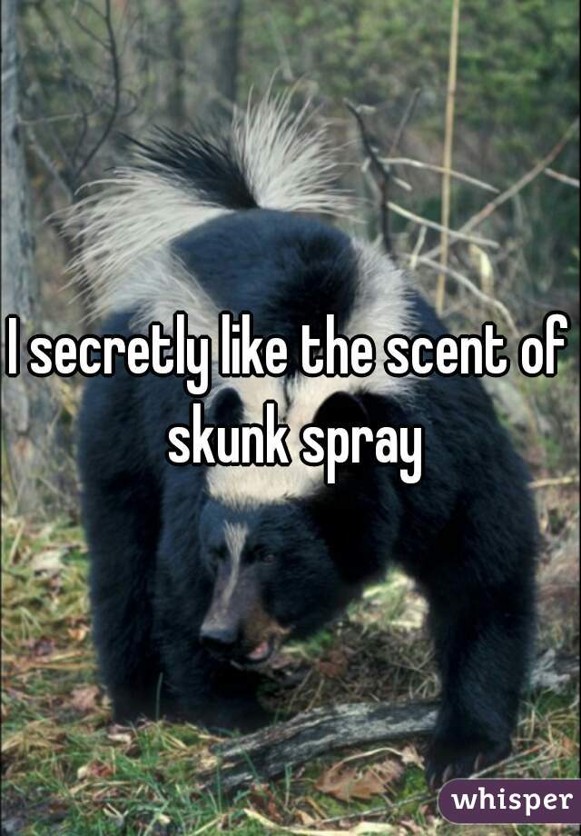 I secretly like the scent of skunk spray
